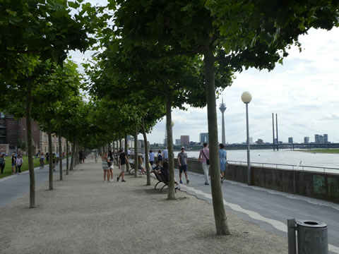 Rijnpromenade