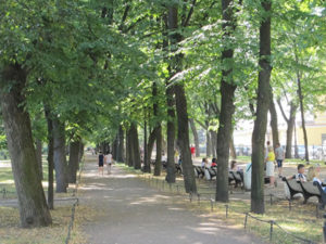 Bomenlaan in park
